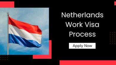 Netherlands Work Visa Process