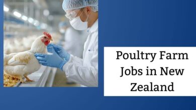 Poultry Farm Jobs in New Zealand