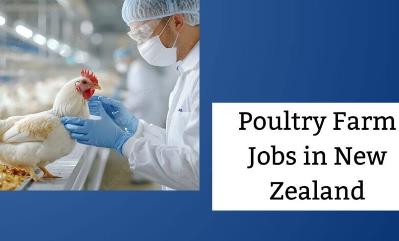 Poultry Farm Jobs in New Zealand