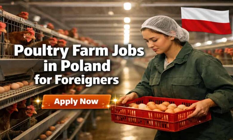 Poultry Farm Jobs in Poland for Foreigners