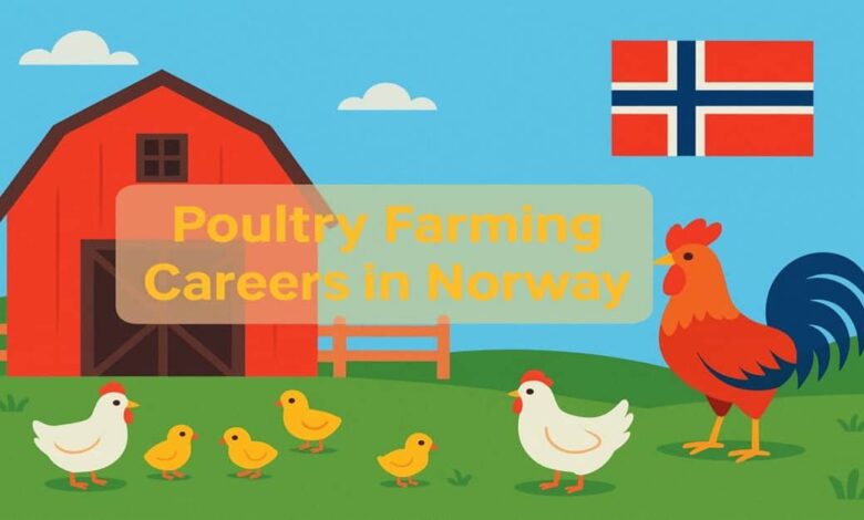 Poultry Farming Careers in Norway