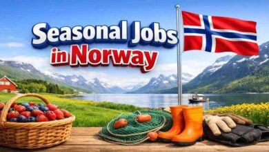 Seasonal Jobs in Norway