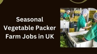 Seasonal Vegetable Packer Farm Jobs in UK