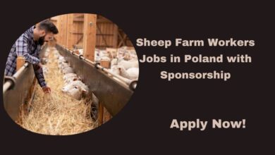 Sheep Farm Workers Jobs in Poland with Sponsorship