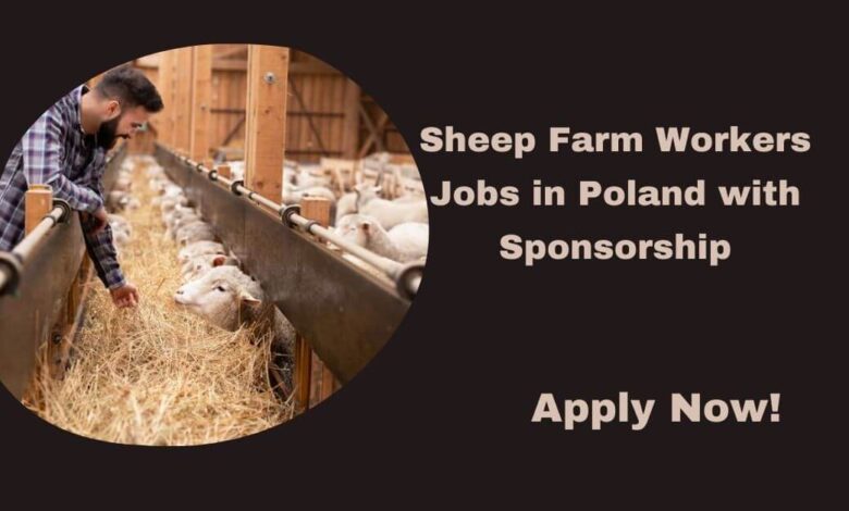 Sheep Farm Workers Jobs in Poland with Sponsorship
