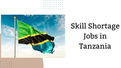 Skill Shortage Jobs in Tanzania