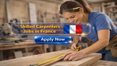 Skilled Carpenters Jobs in France