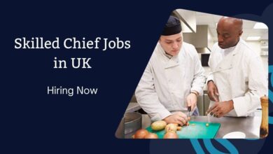 Skilled Chief Jobs in UK