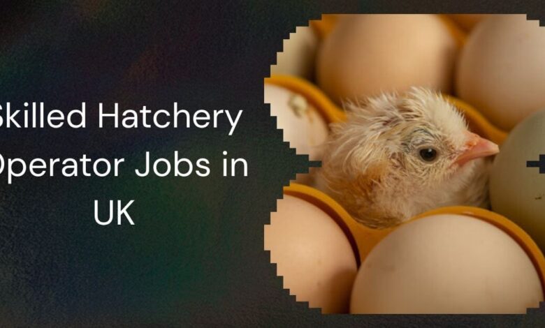 Skilled Hatchery Operator Jobs in UK
