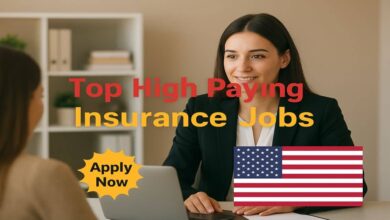 Top High Paying Insurance Jobs