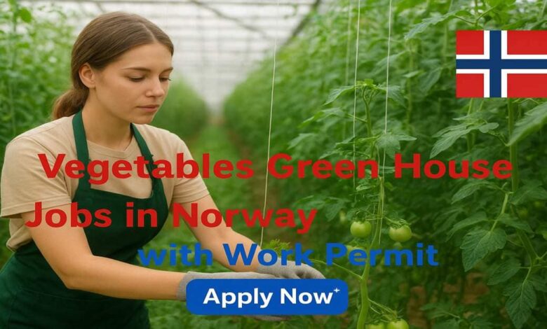 Vegetables Green House Jobs in Norway with Work Permit