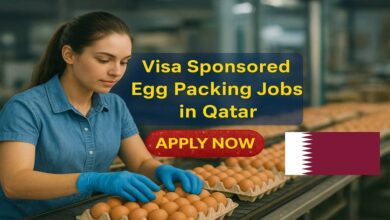 Visa Sponsored Egg Packing Jobs in Qatar