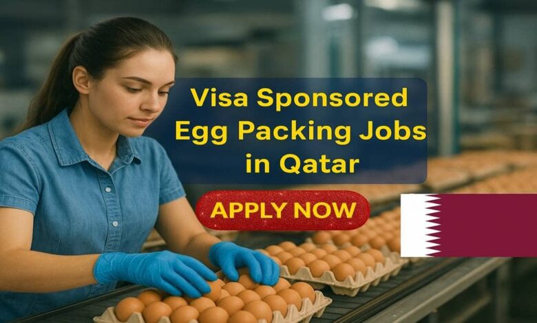 Visa Sponsored Egg Packing Jobs in Qatar