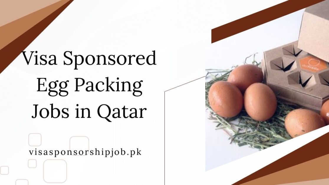 Visa Sponsored Egg Packing Jobs in Qatar