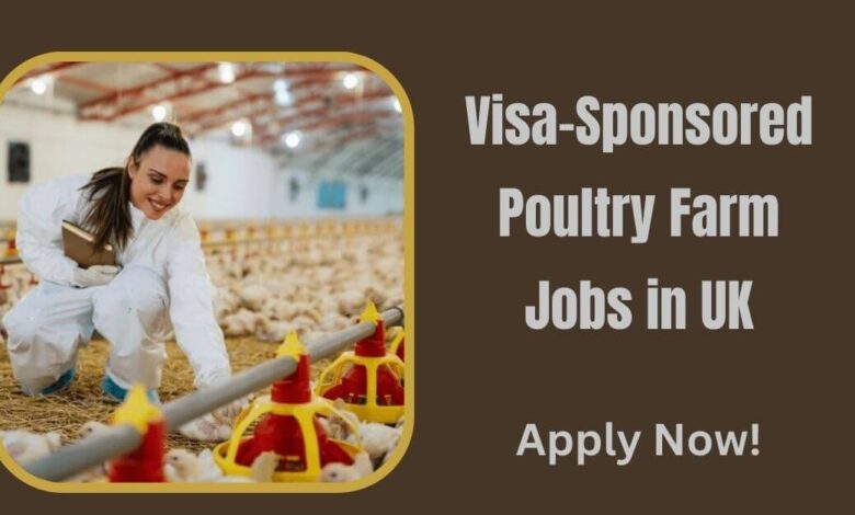 Visa-Sponsored Poultry Farm Jobs in UK