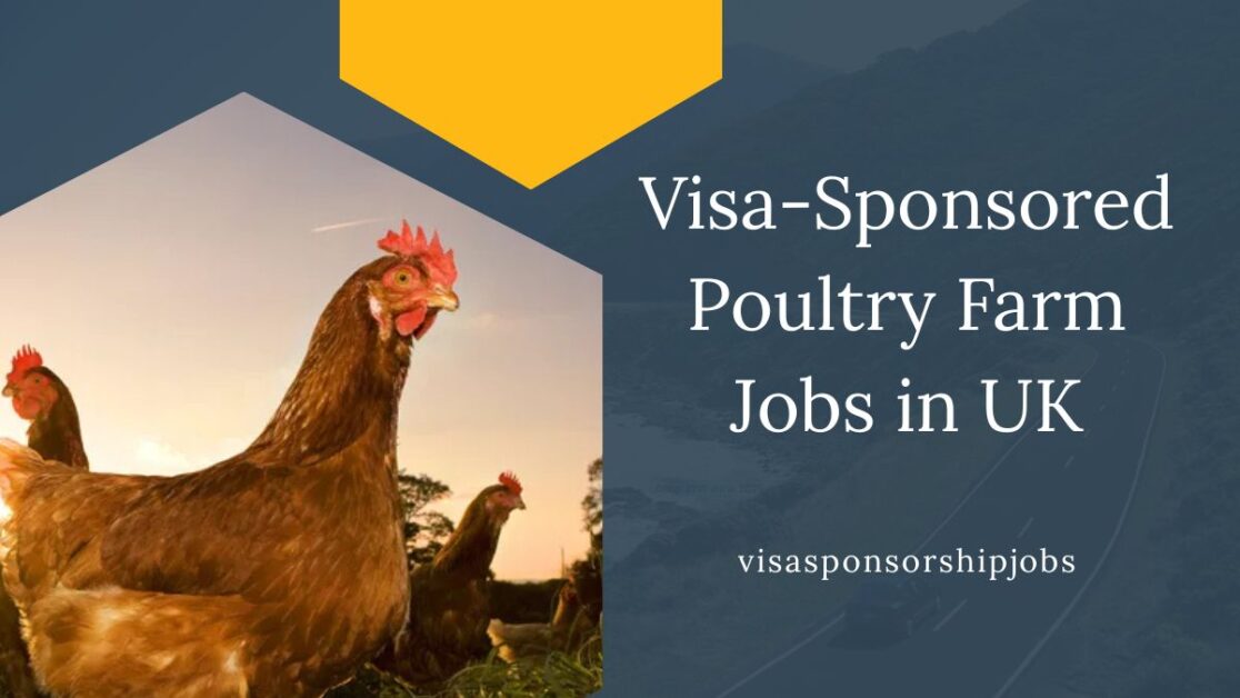 Visa-Sponsored Poultry Farm Jobs in UK