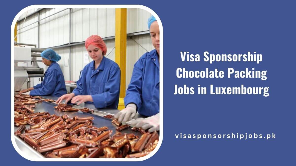 Visa Sponsorship Chocolate Packing Jobs in Luxembourg