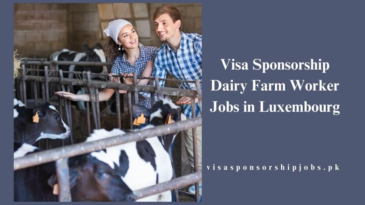Visa Sponsorship Dairy Farm Worker Jobs in Luxembourg