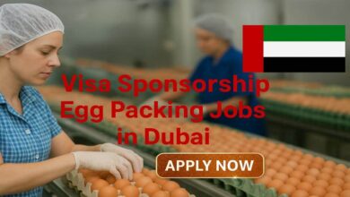 Visa Sponsorship Egg Packing Jobs in Dubai