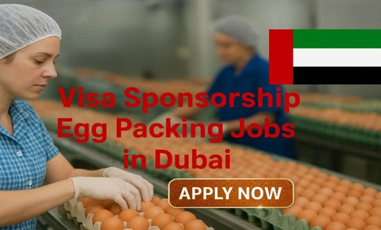 Visa Sponsorship Egg Packing Jobs in Dubai