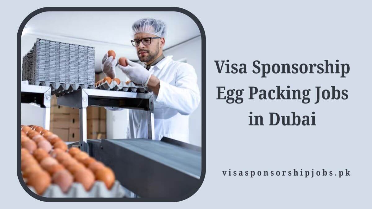 Visa Sponsorship Egg Packing Jobs in Dubai