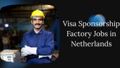 Visa Sponsorship Factory Jobs in Netherlands