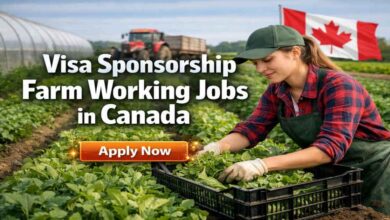 Visa Sponsorship Farm Working Jobs in Canada