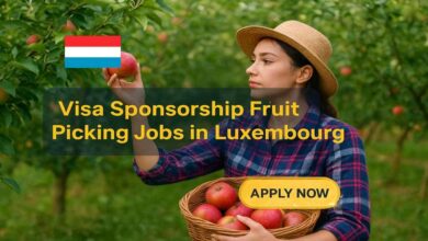 Visa Sponsorship Fruit Picking Jobs in Luxembourg
