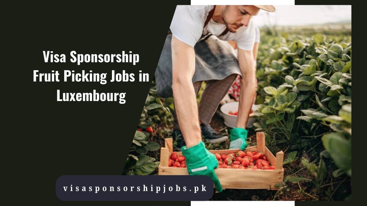 Visa Sponsorship Fruit Picking Jobs in Luxembourg