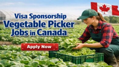 Visa Sponsorship Vegetable Picker Jobs in Canada