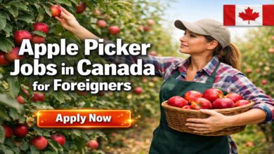 Apple Picker Jobs in Canada for Foreigners