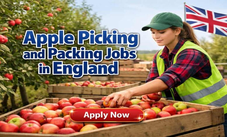 Apple Picking and Packing Jobs in England