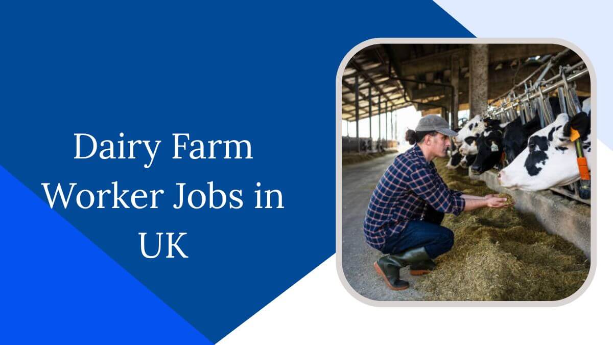 Dairy Farm Worker Jobs in UK