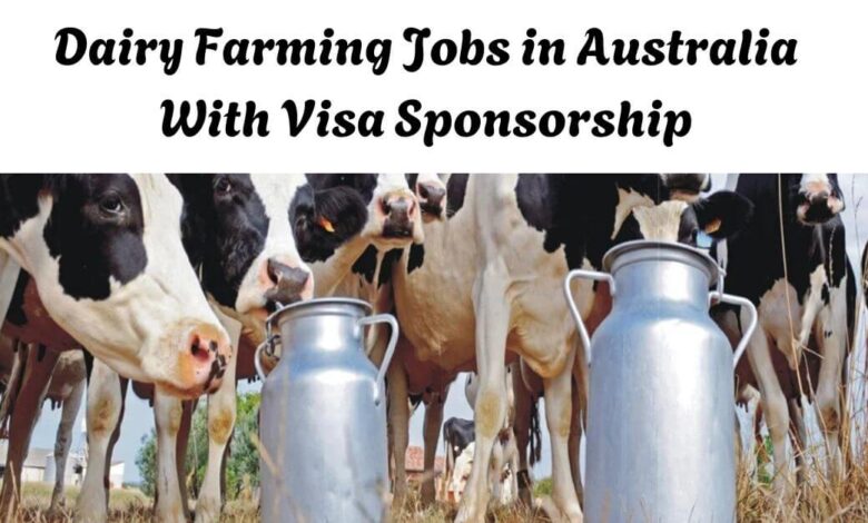 Dairy Farming Jobs in Australia With Visa Sponsorship