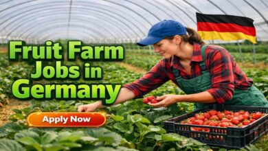 Fruit Farm Jobs in Germany