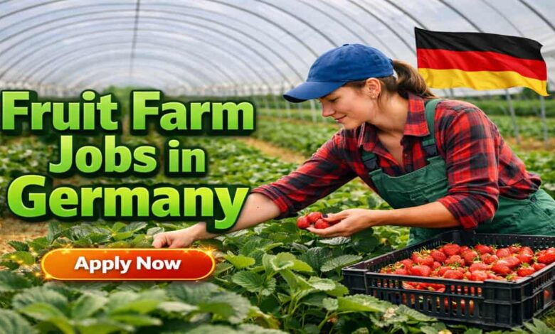 Fruit Farm Jobs in Germany