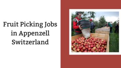 Fruit Picking Jobs in Appenzell Switzerland