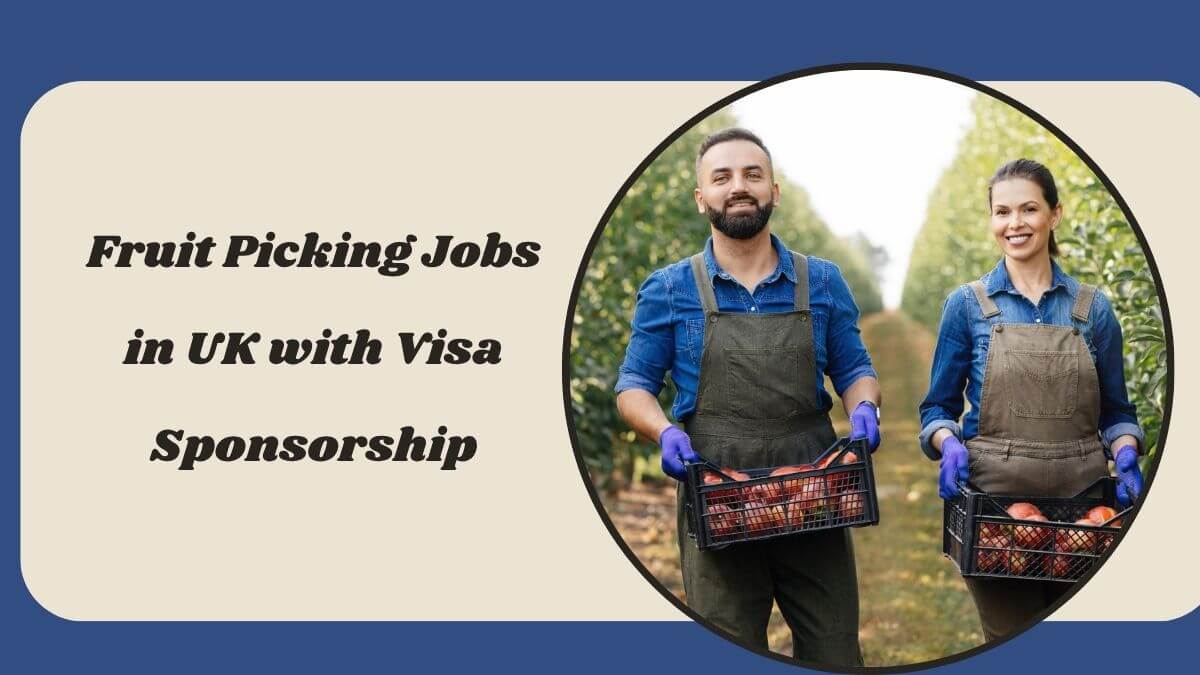 Fruit Picking Jobs in UK with Visa Sponsorship