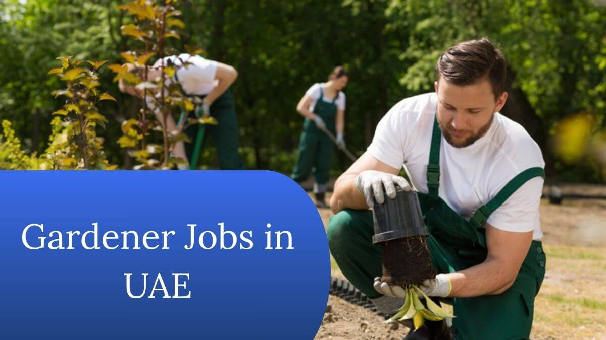 Gardener Jobs in UAE