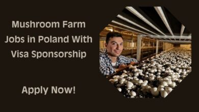 Mushroom Farm Jobs in Poland With Visa Sponsorship