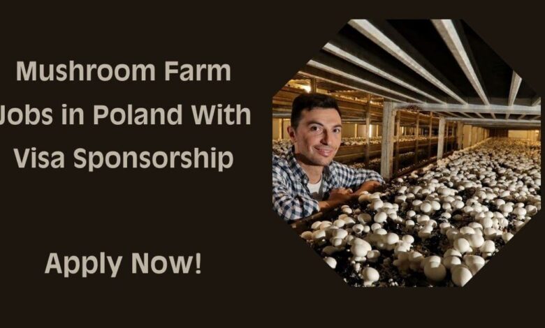 Mushroom Farm Jobs in Poland With Visa Sponsorship