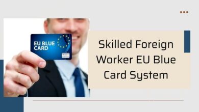 Skilled Foreign Worker EU Blue Card System