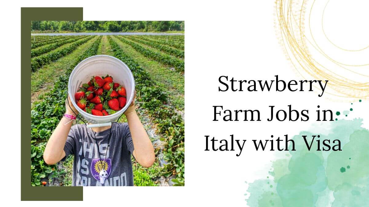 Strawberry Farm Jobs in Italy with Visa
