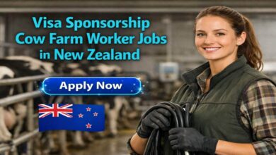 Visa Sponsorship Cow Farm Worker Jobs in New Zealand