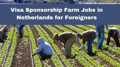 Visa Sponsorship Farm Jobs in Netherlands for Foreigners