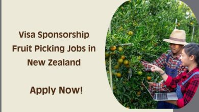 Visa Sponsorship Fruit Picking Jobs in New Zealand