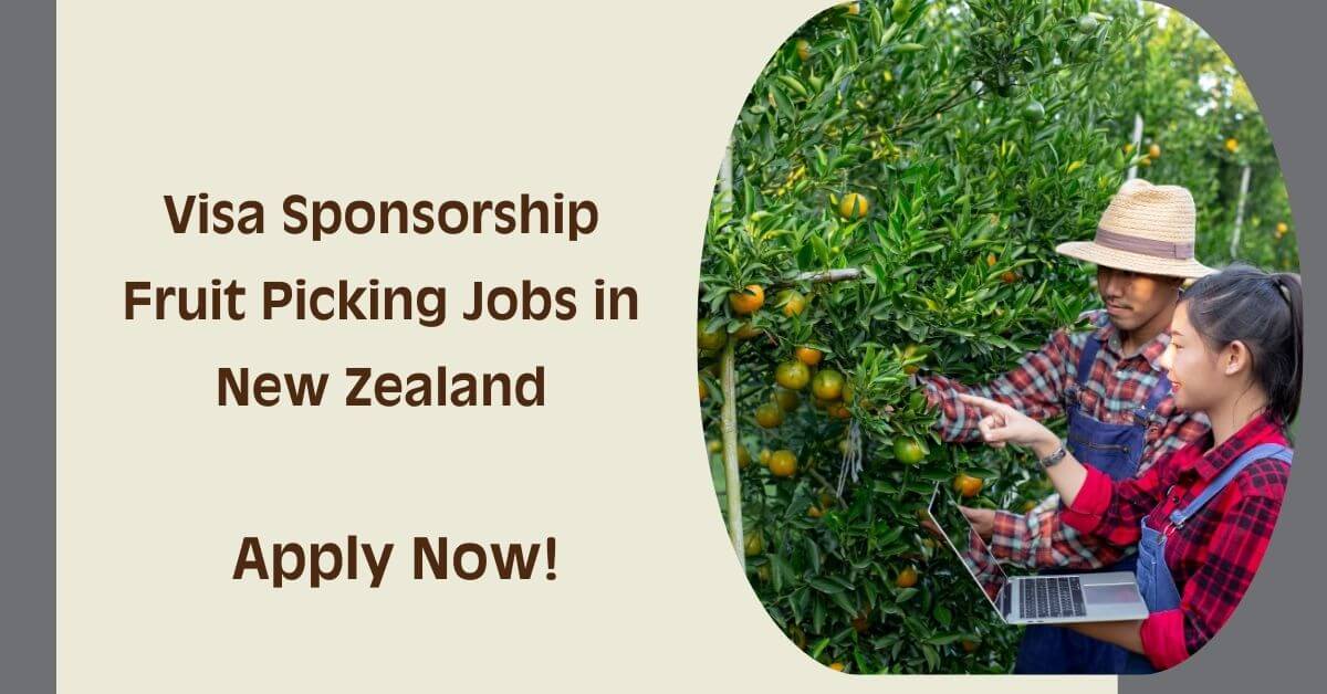 Visa Sponsorship Fruit Picking Jobs in New Zealand