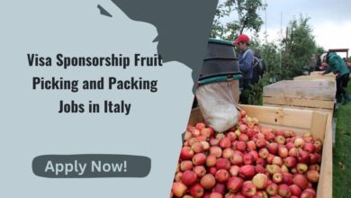 Visa Sponsorship Fruit Picking and Packing Jobs in Italy