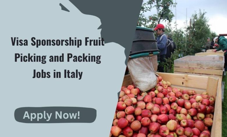 Visa Sponsorship Fruit Picking and Packing Jobs in Italy