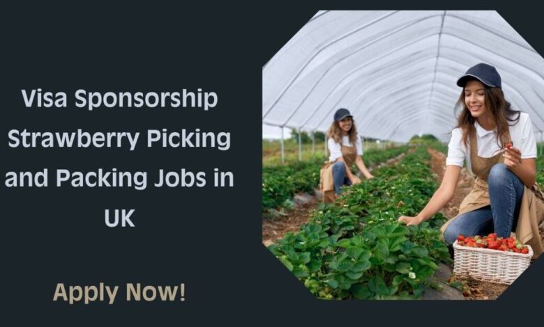 Visa Sponsorship Strawberry Picking and Packing Jobs in UK